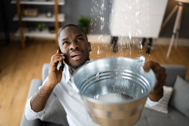 Best Water damage contractors near me  in Hurlburt Field, FL