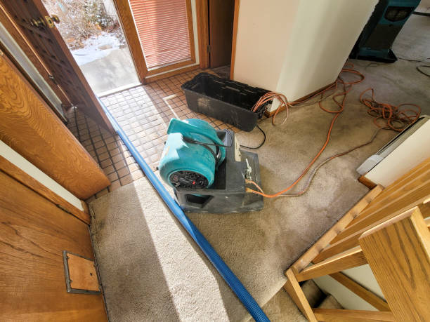 Fire Damage Restoration in Hurlburt Field, FL