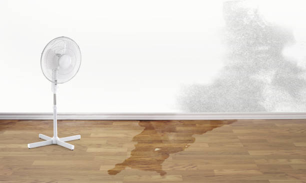 Best Flood restoration services  in Hurlburt Field, FL