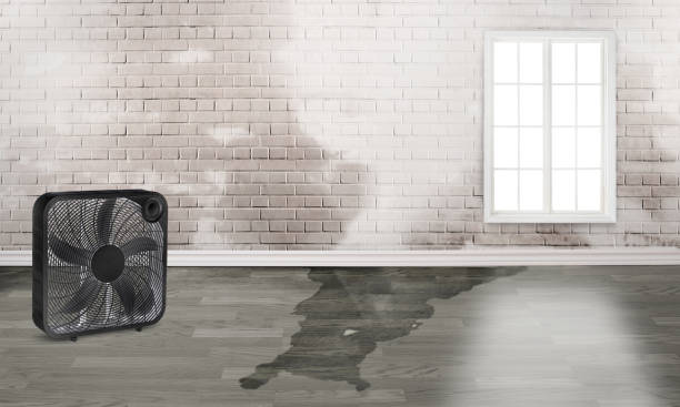 Best Commercial water damage restoration  in Hurlburt Field, FL