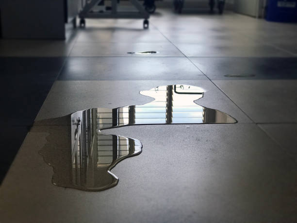 Best 24-hour water damage restoration  in Hurlburt Field, FL