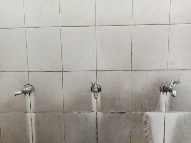 Best Carpet water damage restoration  in Hurlburt Field, FL