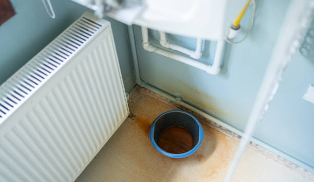 Best Professional water damage repair  in Hurlburt Field, FL