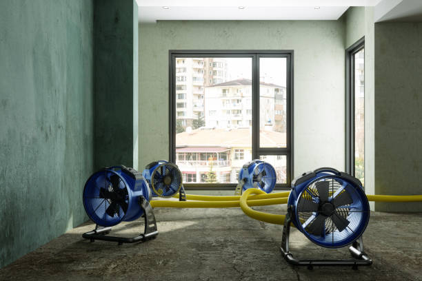 Best Emergency water damage restoration  in Hurlburt Field, FL