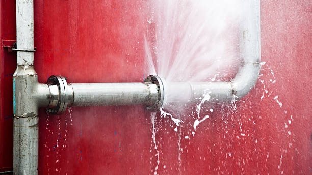 Water damage restoration mold remediation in Hurlburt Field, FL