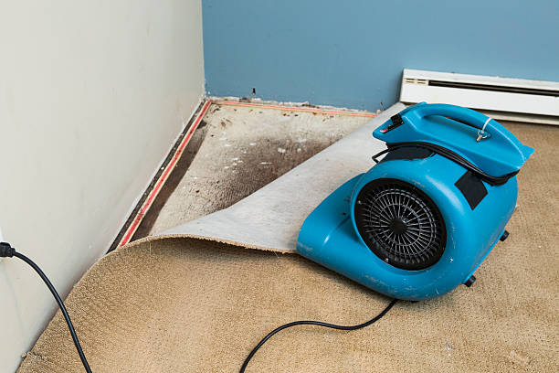 Best Ceiling water damage repair  in Hurlburt Field, FL